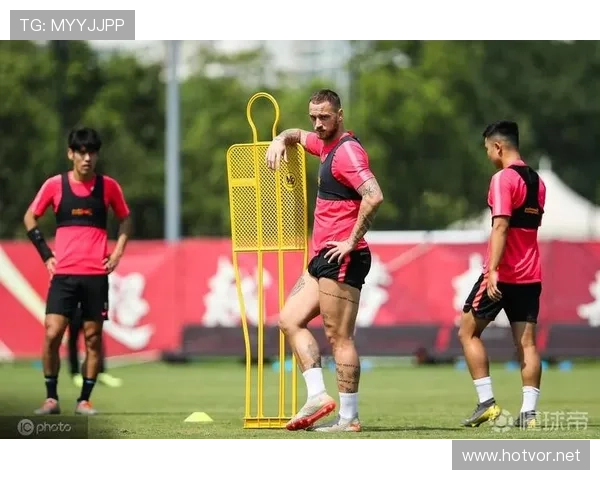 阿瑙托维奇战术适配性分析：角色定位清晰与近期稳健表现